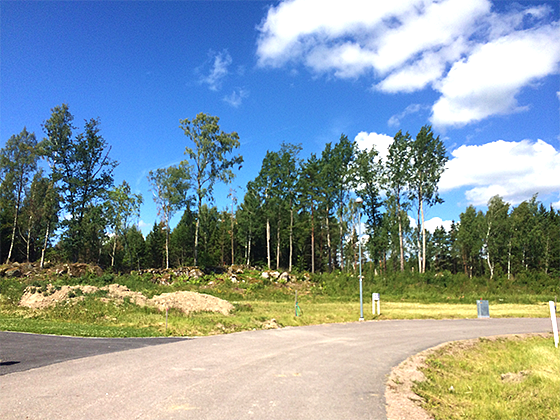 Eriksbo Park - 4